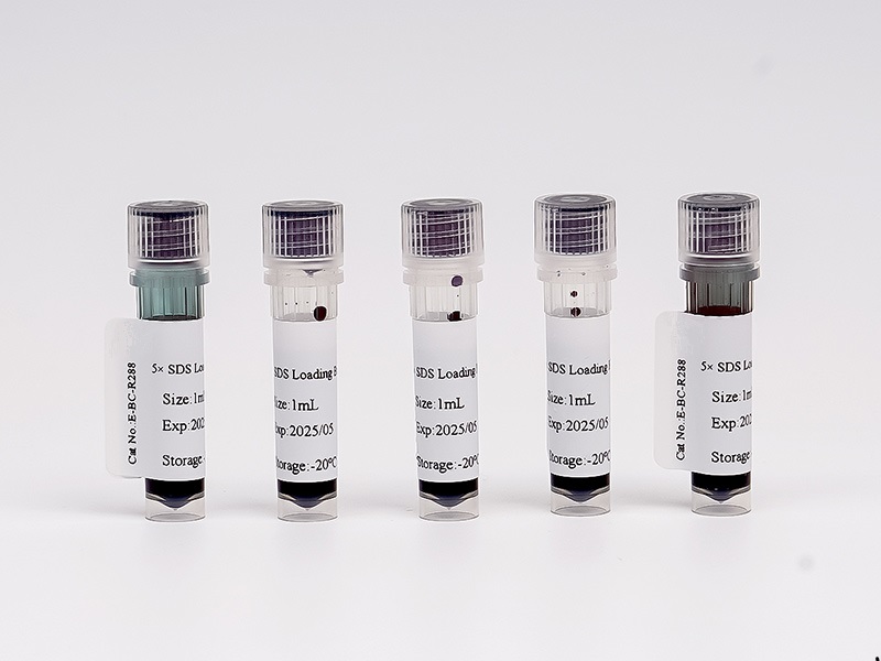 Фото Elabscience E-BC-R288