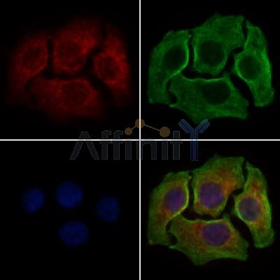 Валидация Affinity DF3671 - 14678