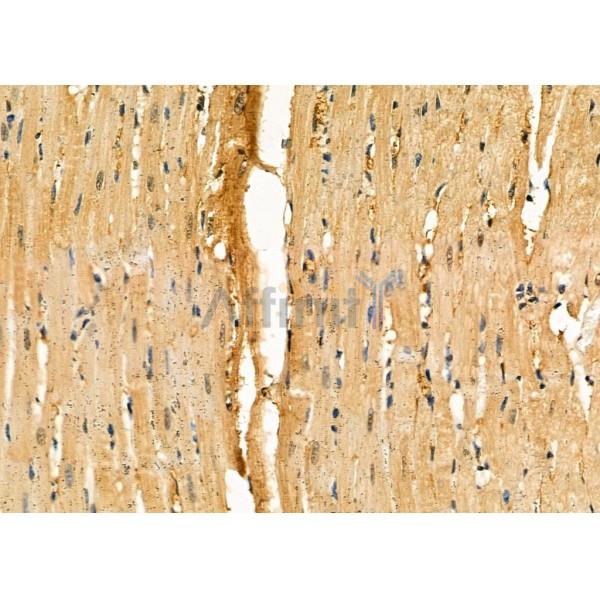 Валидация Affinity DF6169 - 17413