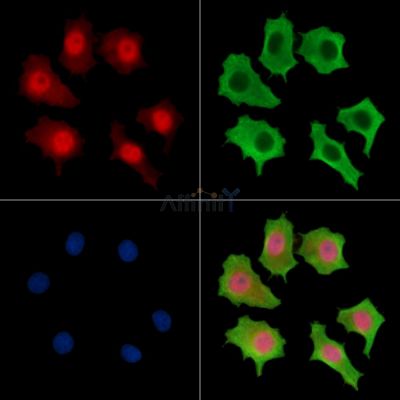 Валидация Affinity DF14735 - 10813