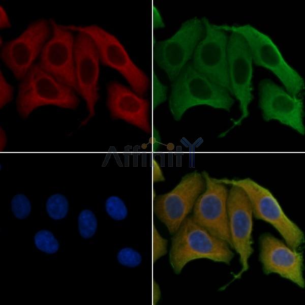 Валидация Affinity DF4270 - 15671