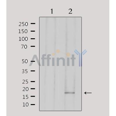 Валидация Affinity DF6442 - 17821