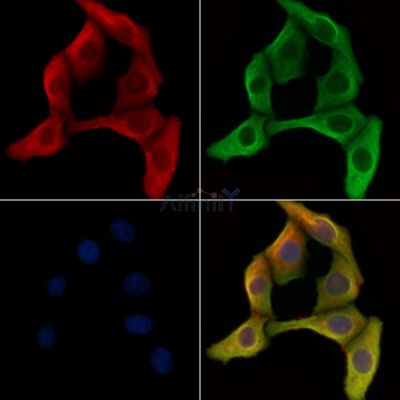 Валидация Affinity AF5267 - 2785