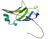 Protocadherin Beta 2 (PCDHb2) Protocadherin Beta 2 (PCDHb2)