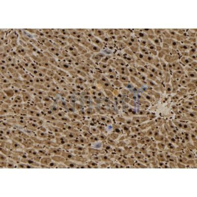 Валидация Affinity DF10009 - 5447