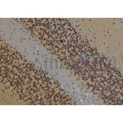 Валидация Affinity AF6198 - 3428