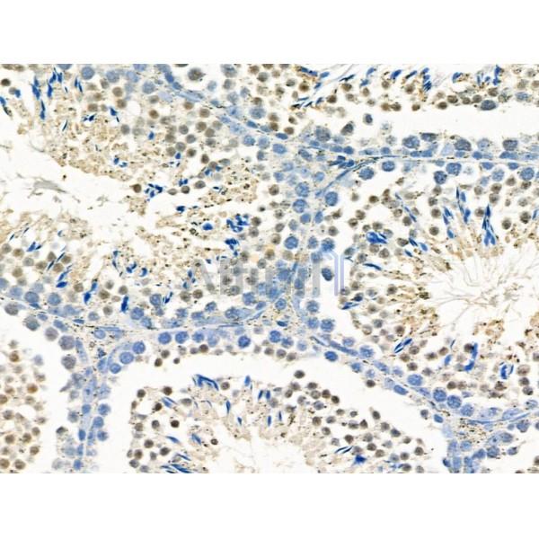 Валидация Affinity DF4716 - 16408