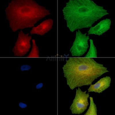 Валидация Affinity DF15940 - 12454