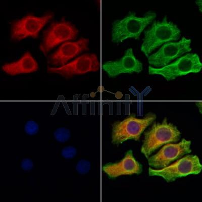 Валидация Affinity AF6343 - 3624