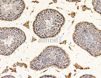 Валидация Affinity DF14702 - 10763