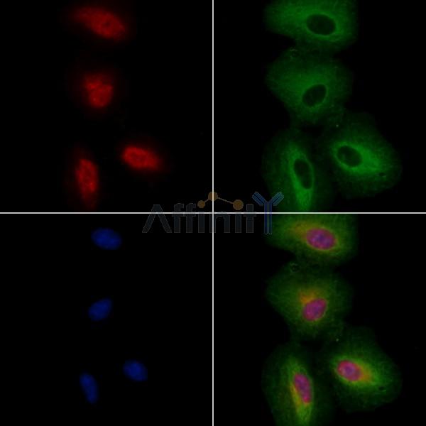 Валидация Affinity DF3252 - 14097