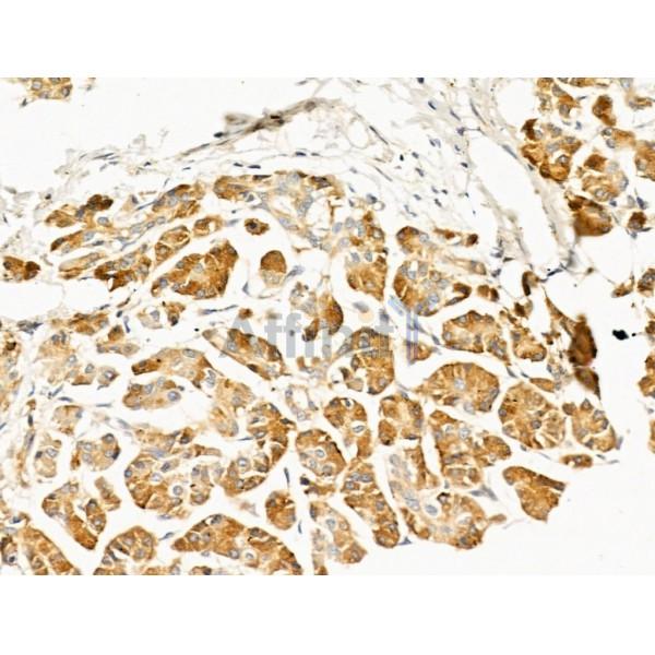 Валидация Affinity DF5176 - 17153