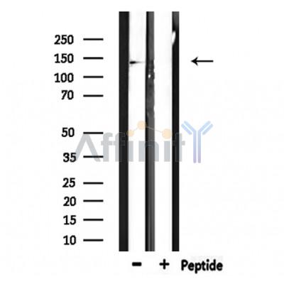 Валидация Affinity DF9488 - 22099