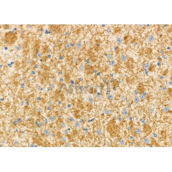 Валидация Affinity DF7294 - 18975