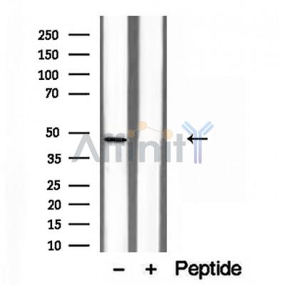 Валидация Affinity DF12216 - 6489