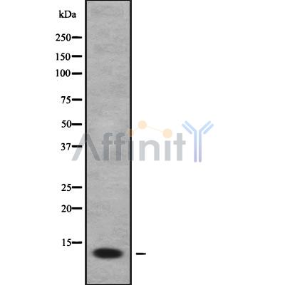 Валидация Affinity DF10187 - 5735