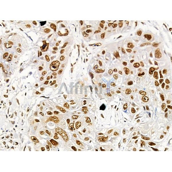 Валидация Affinity AF4663 - 2279