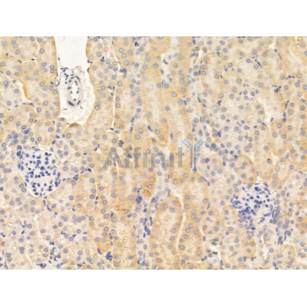 Валидация Affinity AF5394 - 3035