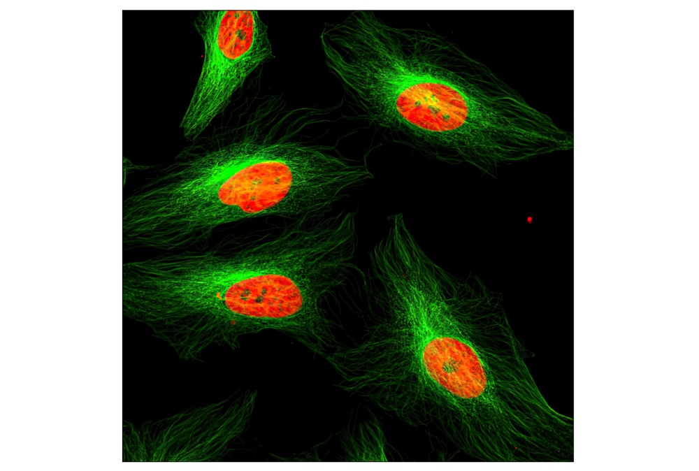 Валидация AssayVector ARM2789(5503)