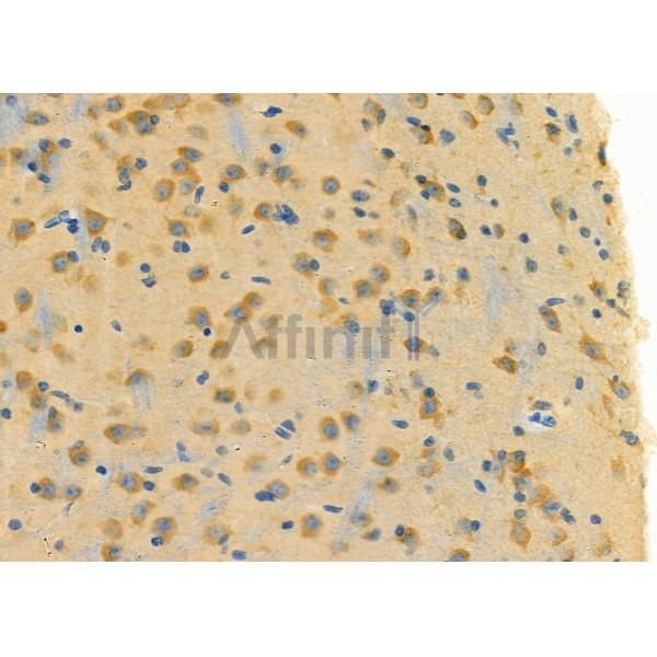 Валидация Affinity DF3251 - 14094