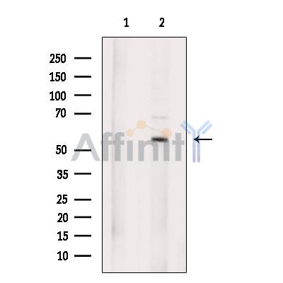 Валидация Affinity DF7687 - 19464