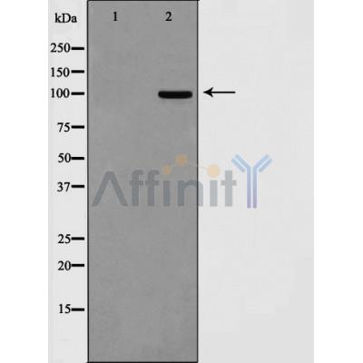 Валидация Affinity AF5362 - 2973