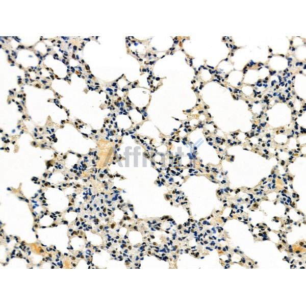 Валидация Affinity DF4878 - 16664