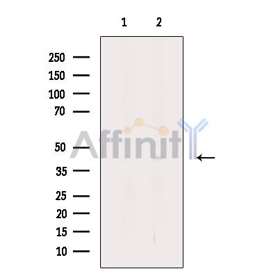 Валидация Affinity DF12443 - 6967
