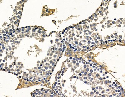 Валидация Affinity DF16024 - 12569