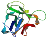 Interleukin 1 Zeta (IL1z) Interleukin 1 Zeta (IL1z)