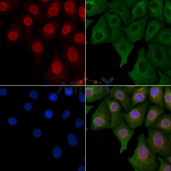 Валидация Affinity DF8865 - 20959