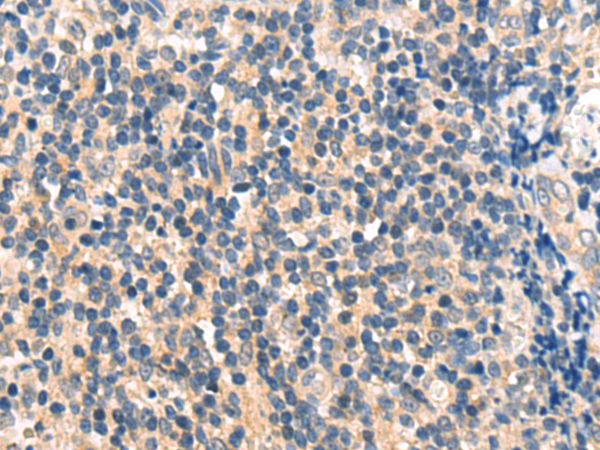 Валидация AssayVector ARM1750(2138)