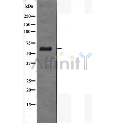 Валидация Affinity DF8356 - 20213