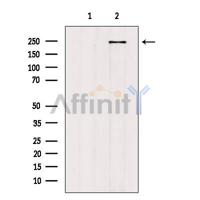 Валидация Affinity DF9569 - 22245