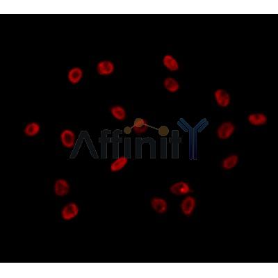 Валидация Affinity DF12097 - 6210