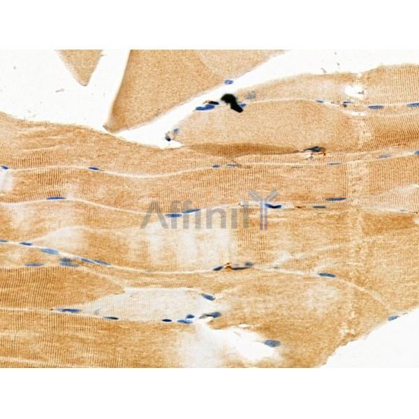 Валидация Affinity DF4653 - 16307