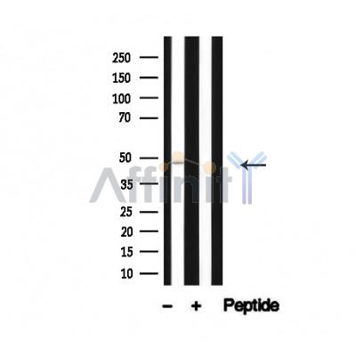 Валидация Affinity AF4664 - 2280
