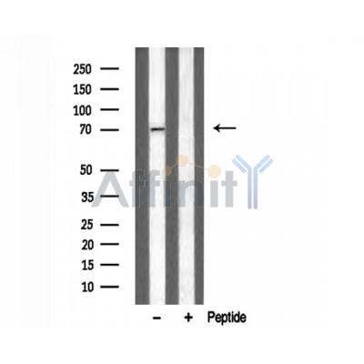 Валидация Affinity DF3108 - 13870