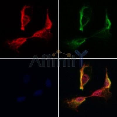 Валидация Affinity DF12650 - 7294