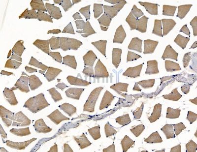 Валидация Affinity DF15897 - 12409