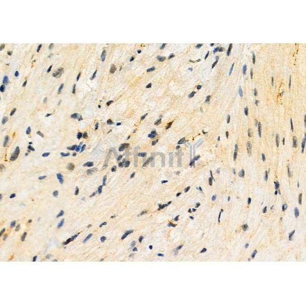 Валидация Affinity DF3064 - 13799