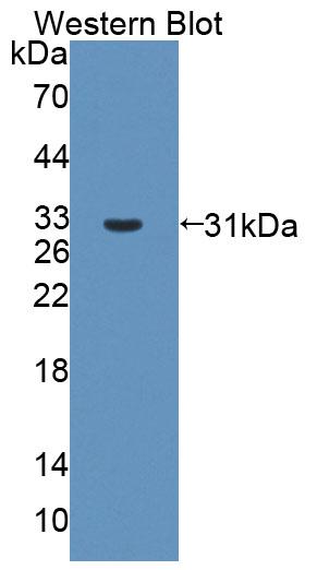 59489