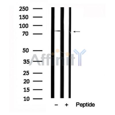 Валидация Affinity AF7660 - 4339
