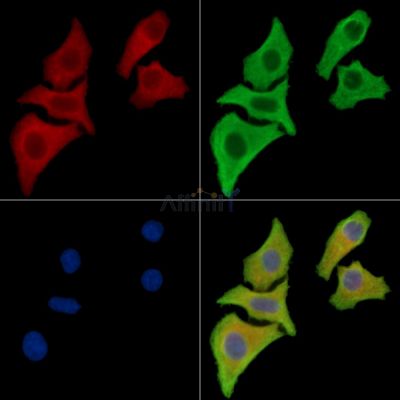 Валидация Affinity DF15762 - 12237