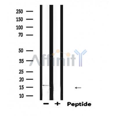 Валидация Affinity DF6693 - 18194