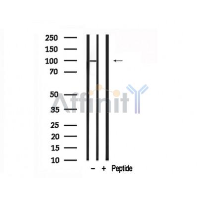 Валидация Affinity AF7709 - 4399