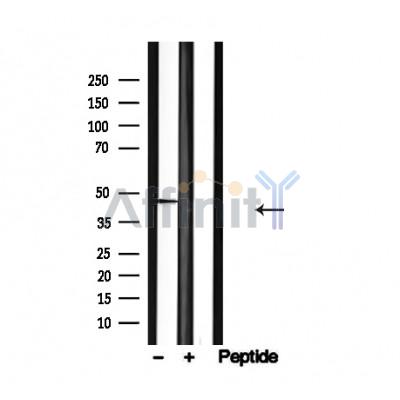 Валидация Affinity AF4667 - 2283