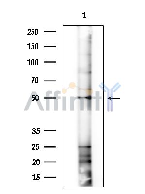 Валидация Affinity DF13760 - 9419
