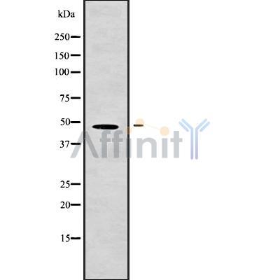 Валидация Affinity DF9207 - 21602