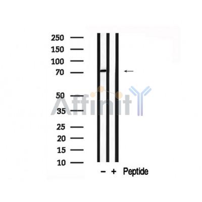 Валидация Affinity AF7745 - 4444